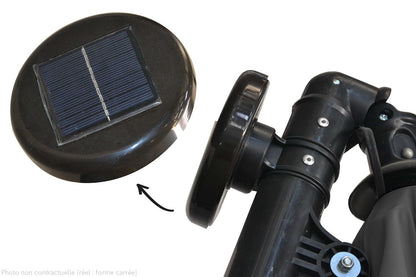 SOLENZARA BULLE