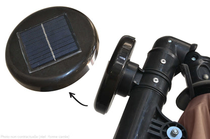 SOLENZARA BULLE
