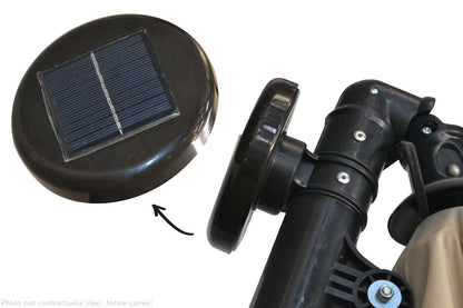 SOLENZARA BULLE